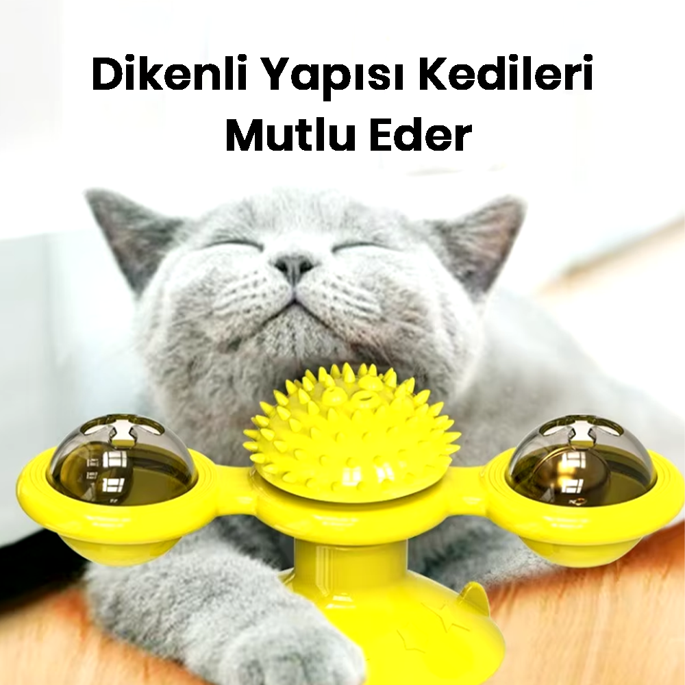 Çok Fonksiyonlu Kedi Oyuncağı