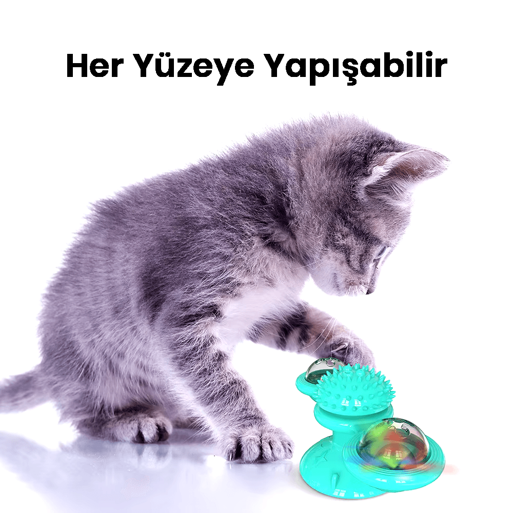 Çok Fonksiyonlu Kedi Oyuncağı